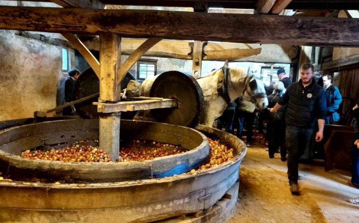 Fête du cidre à l'ancienne à Sap-en-Auge - Hervé HOUDY
