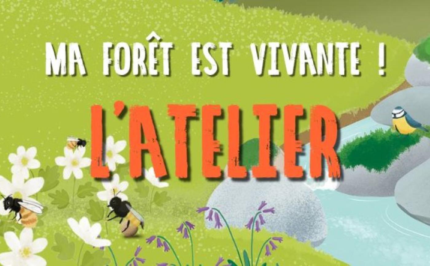 Atelier nature à Sap-en-Auge - Domaien sauvage Le Costil