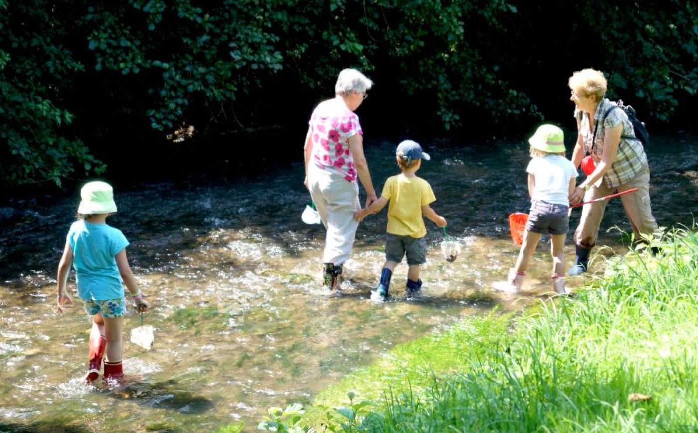 Sortie nature à Vimoutiers - Karin BADDELY