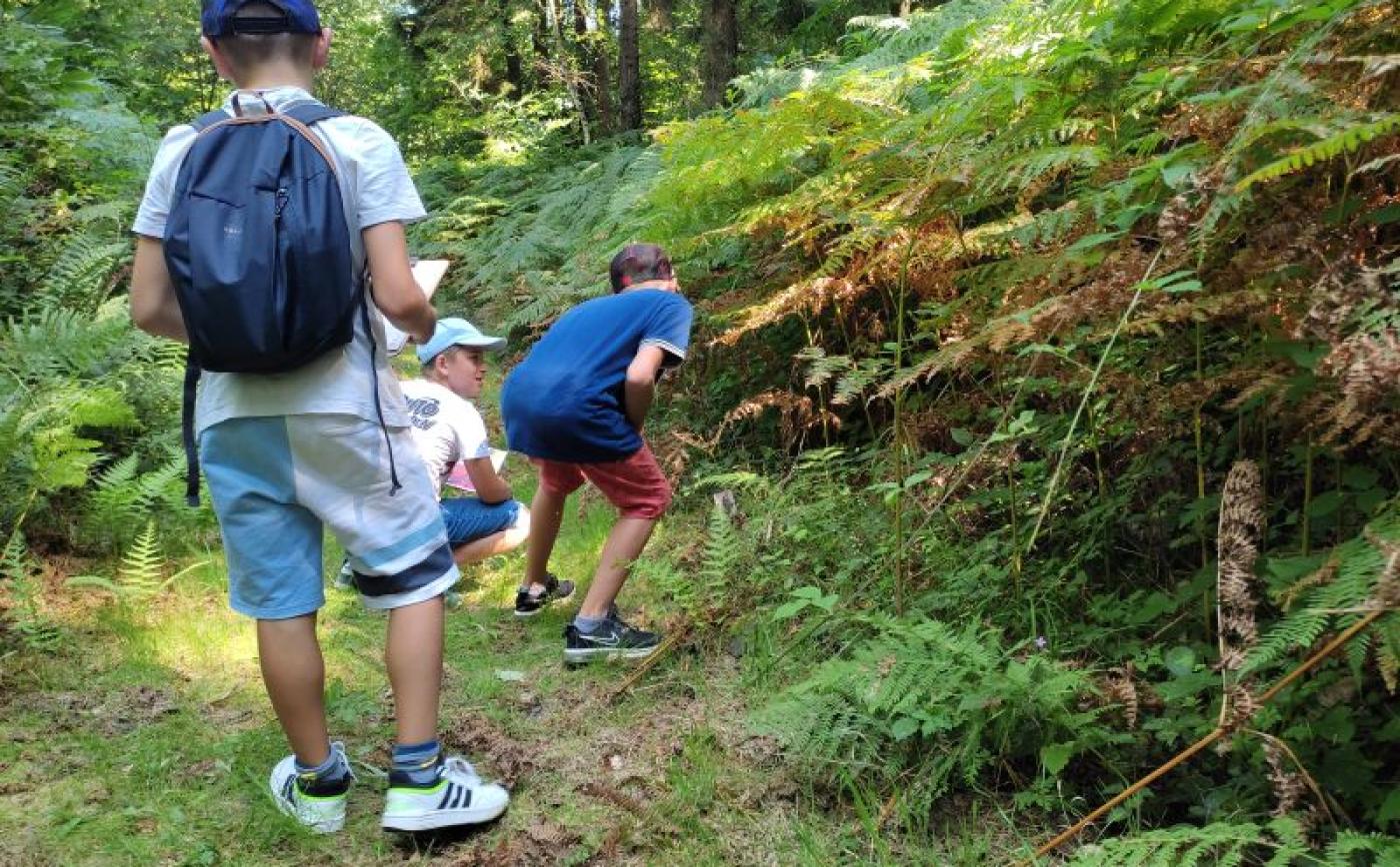 Balade sensorielle à Echauffour - Casse-tête normand