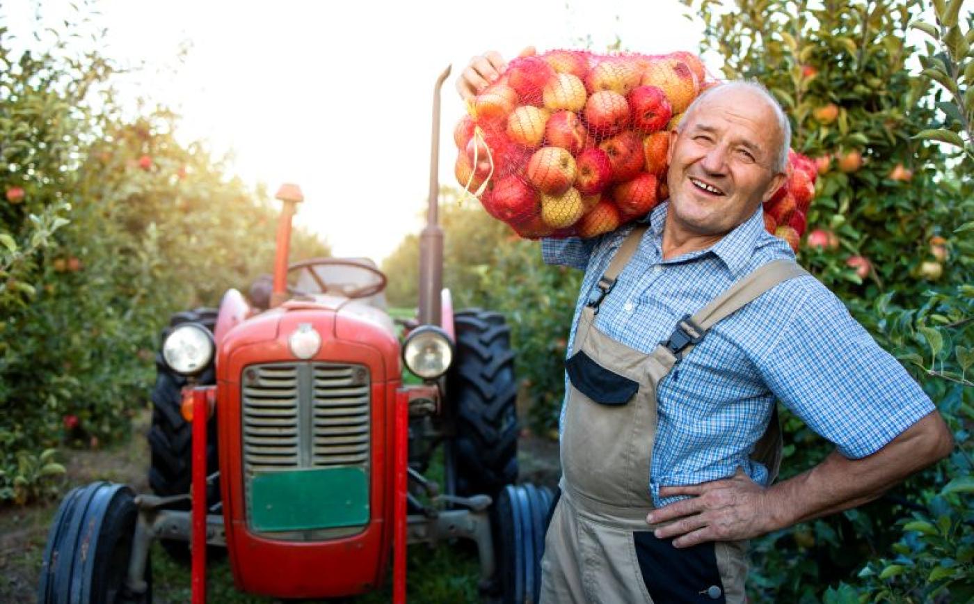 Comice agricole à Résenlieu - aleksandarlittlewolf_freepik