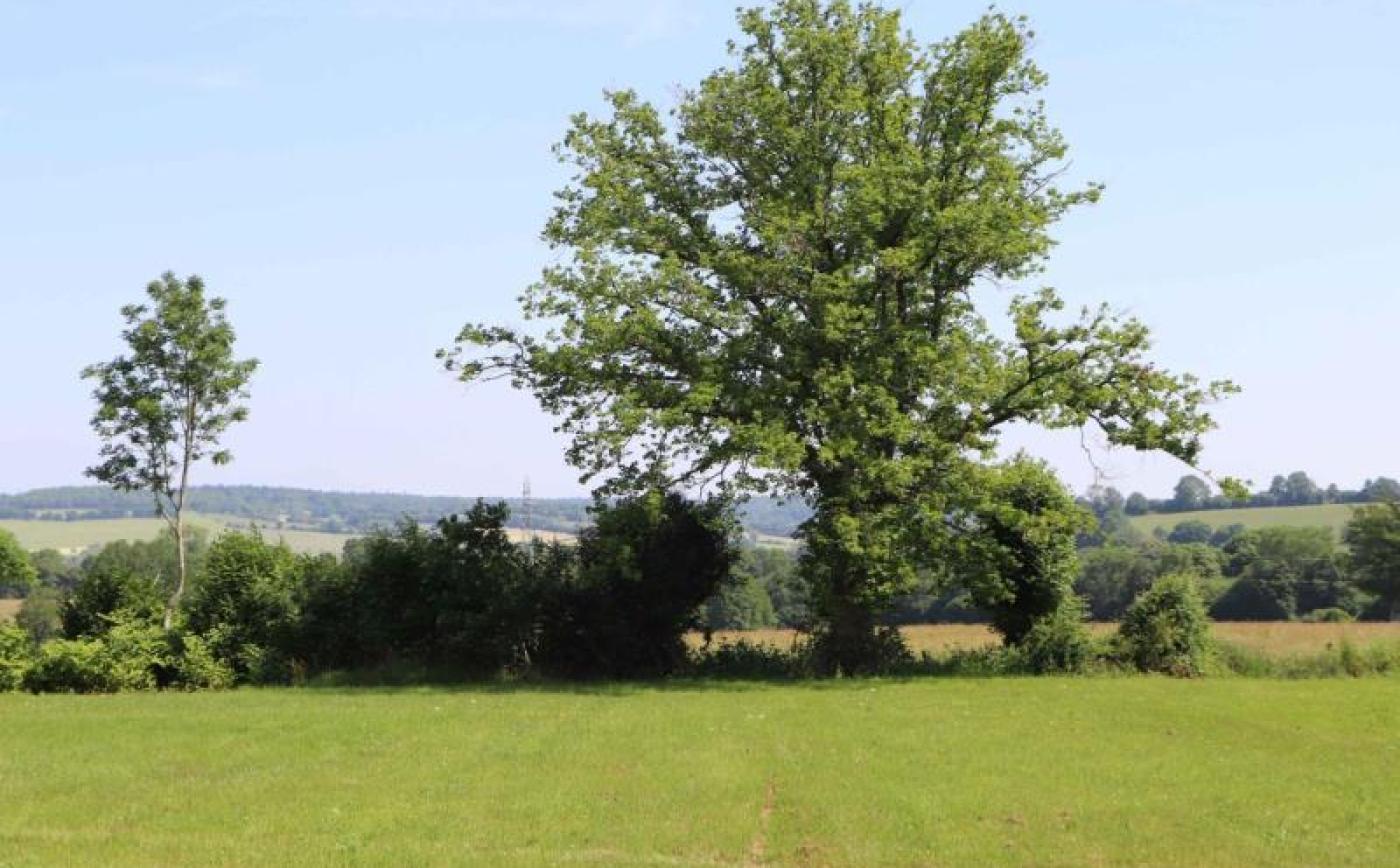 Field - © Gites de France Orne