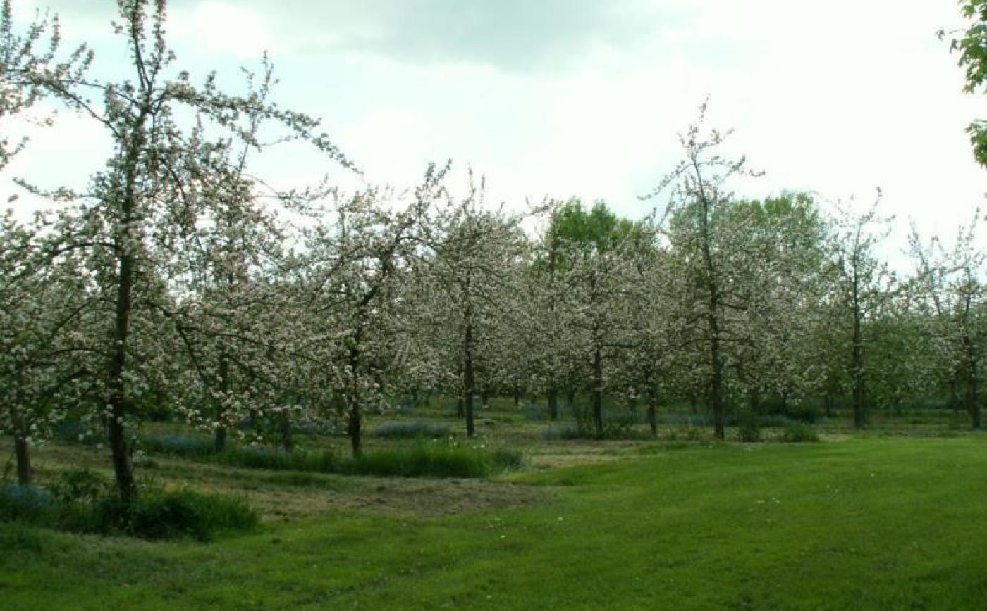 La Fleurière - © Gites de France Orne
