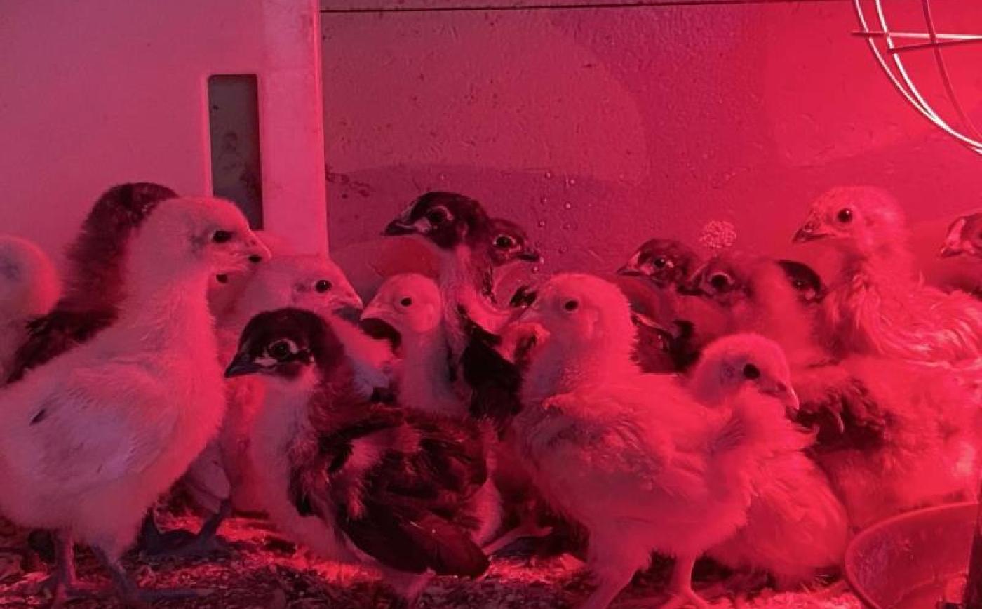 Domaine des Molières - © Gites de France Orne