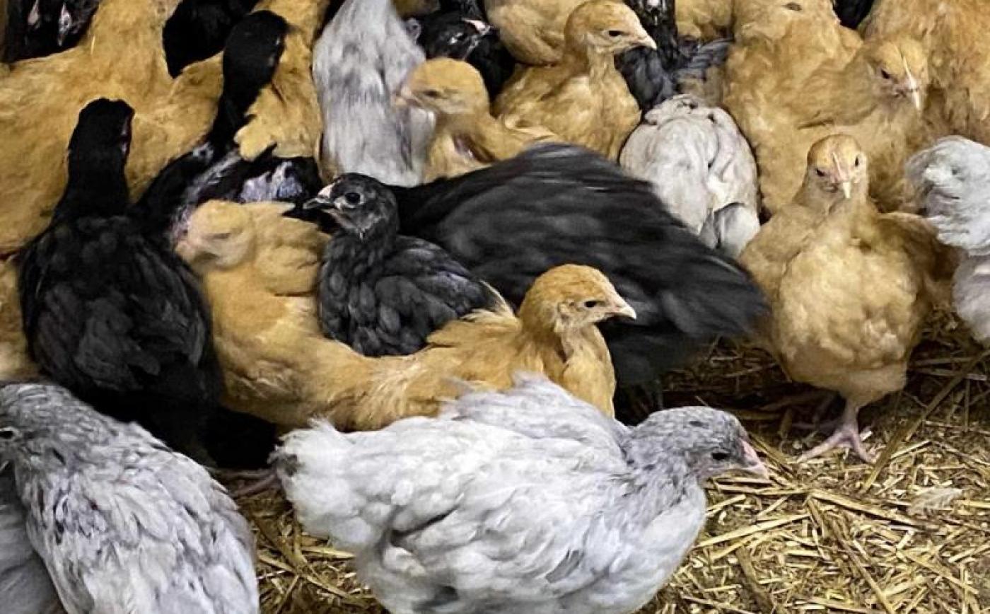 Domaine des Molières - © Gites de France Orne