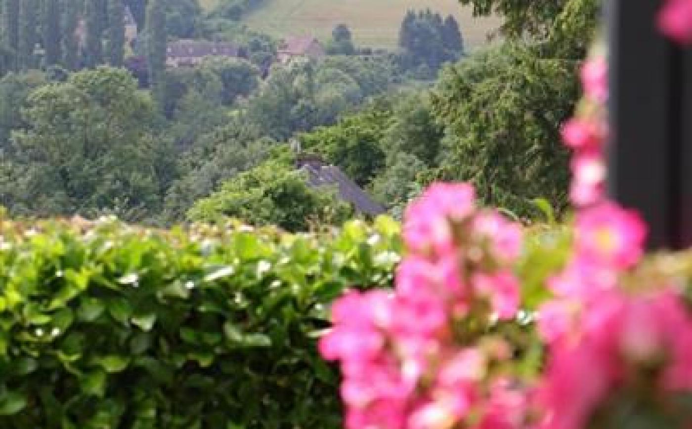 Gîte de France A la campagne Gîte Spa - © Gites de France Orne