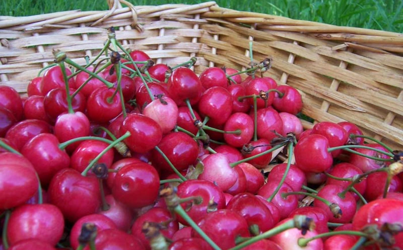 GAEC Choisnard - Crouttes - ©Orne Tourisme