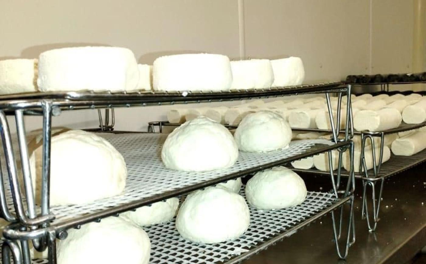 La Ferme des Chèvres Brasseuses aux Authieux du Puits - La Ferme des Chèvres Brasseuses