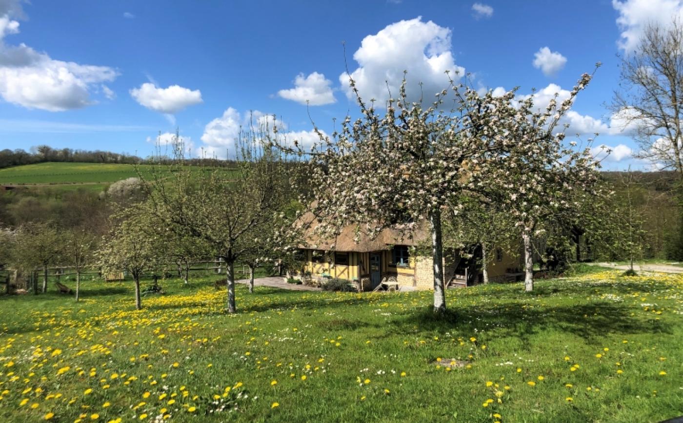 La Forêt Jardin des Hayes à Saint Evroult de Montfort - Forêt Jardin des Hayes