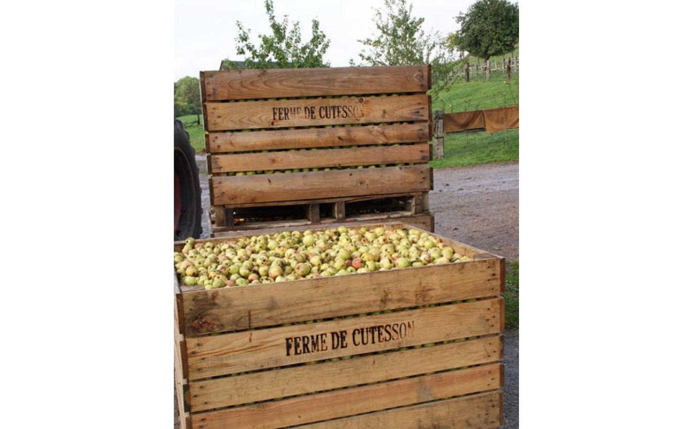 Ferme de Cutesson - Vimoutiers - © Orne Tourisme