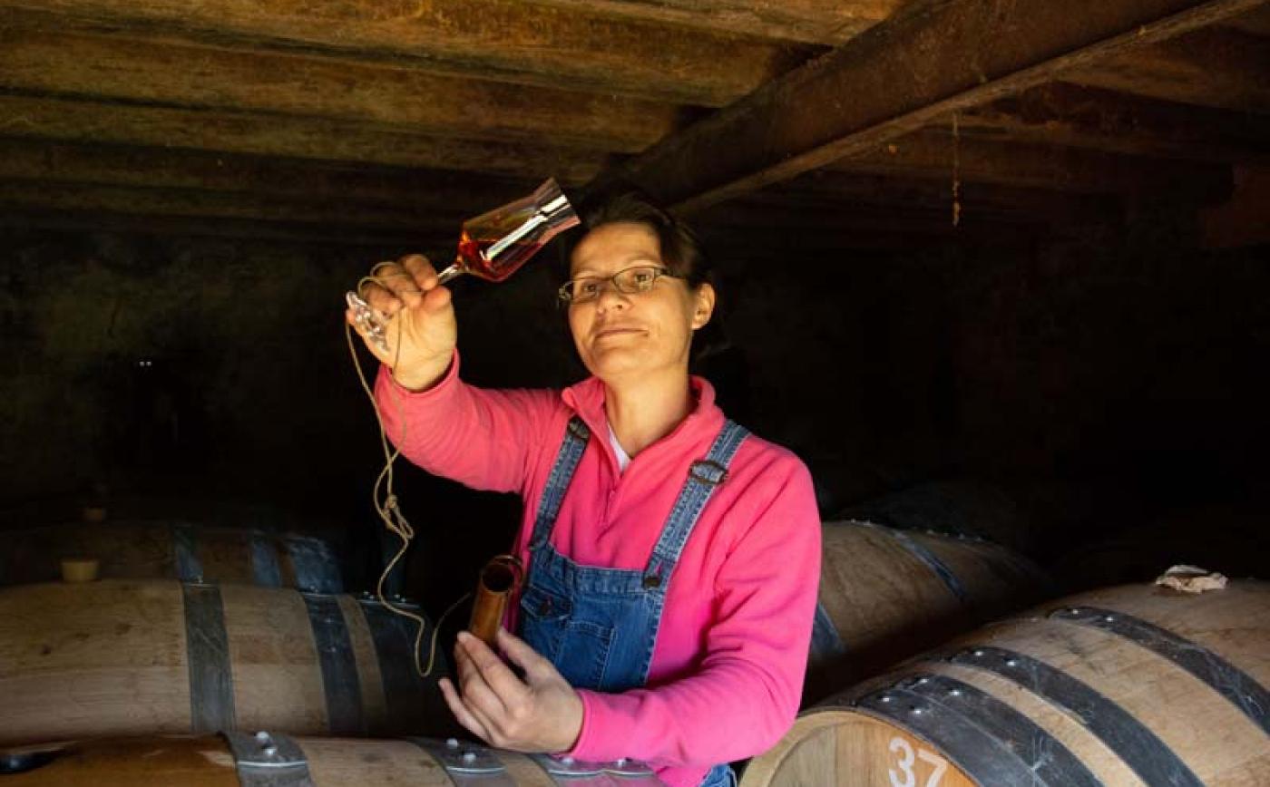 Vergers de la Morinière - La Fresnaie Fayel - ©David Commenchal