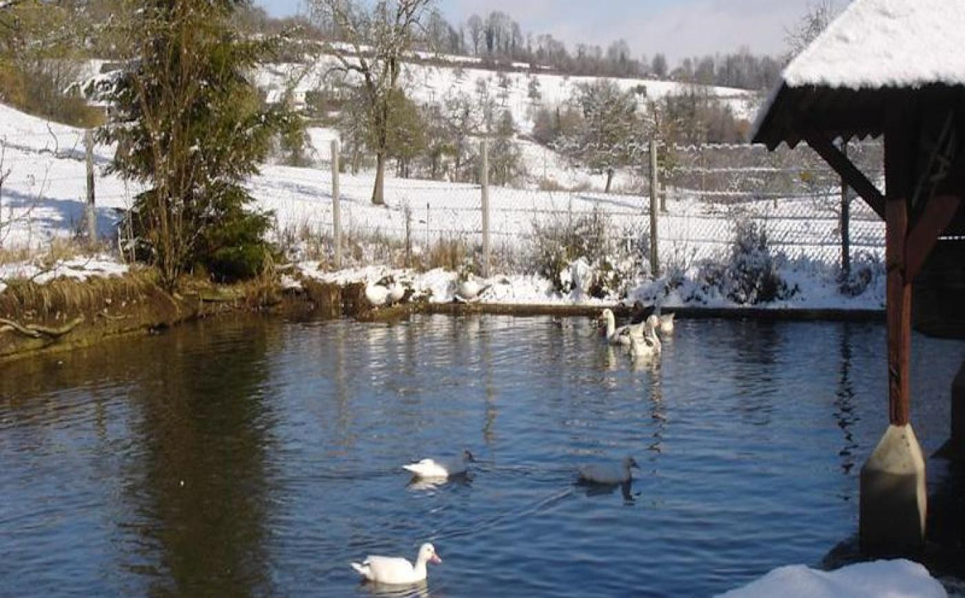 Val-Godard-Fresnay-le-Samson - © Mr TURPIN