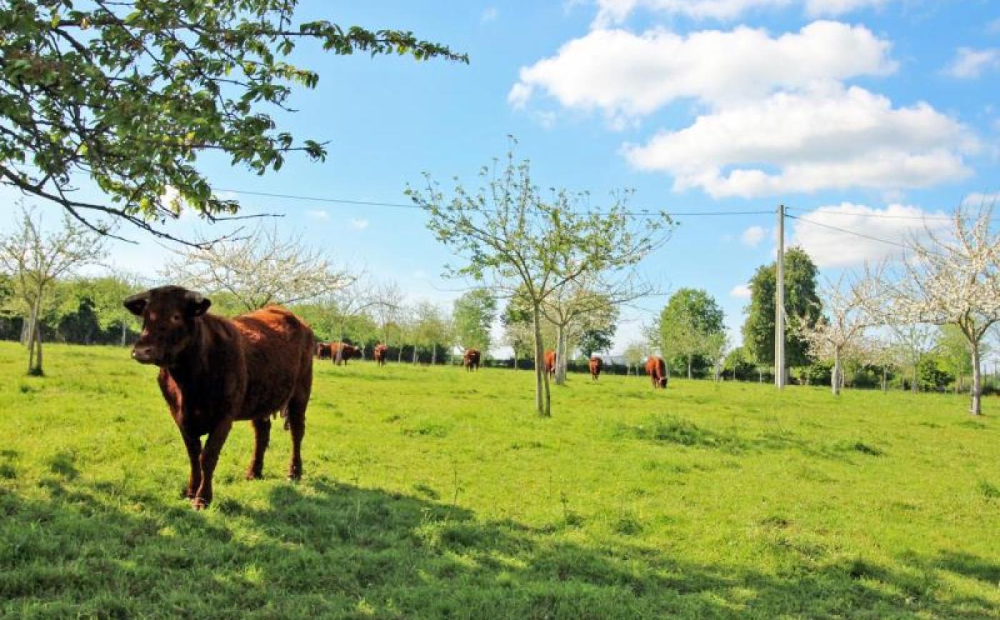 Le Fresne - © Gites de France Orne