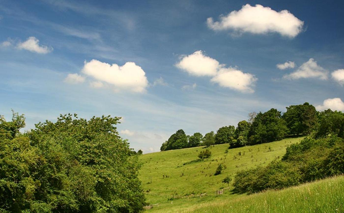 Le Coteau des Champs Genêts - Les Champs Genêts © JE Rubio