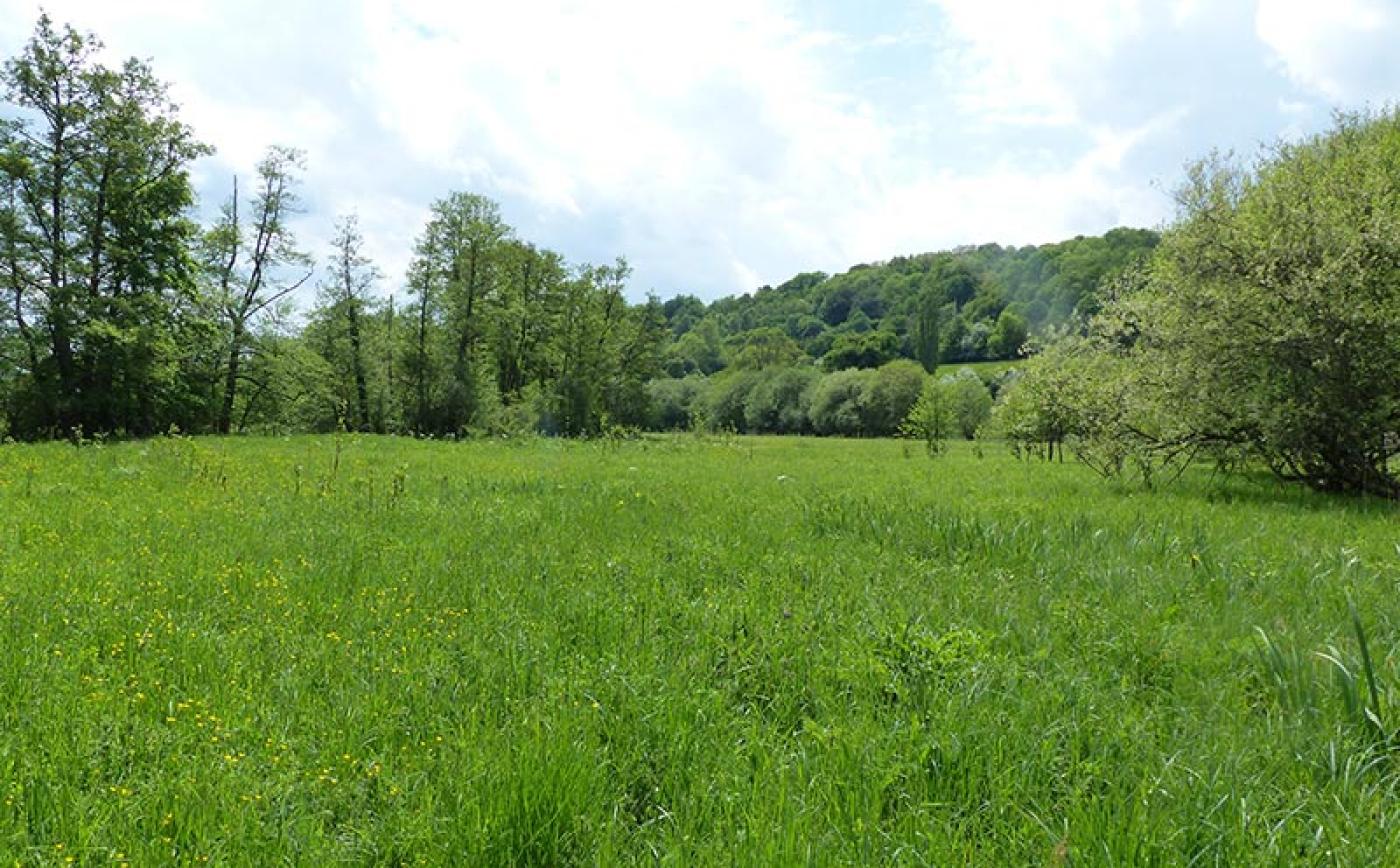 Les prairies de Campigny - © CD 61