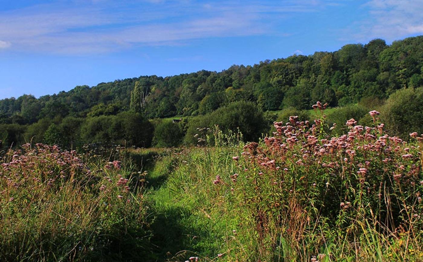 Les prairies de Campigny - © JE Rubio